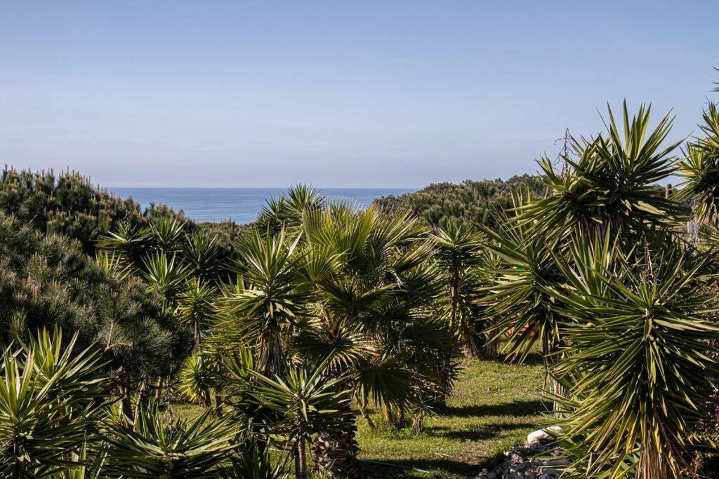 Pe Na Praia Torres Vedras Exterior photo
